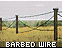 barb.gif (2393 bytes)
