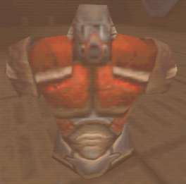 q2_bodyarmour.jpg (5287 bytes)