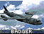 badger.gif (2463 bytes)